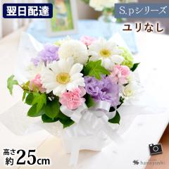  ԃAWg S.pV[Y Ȃ  AW   蕨  @  r 