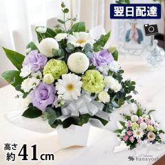   AWg SȂ M.pV[Y    t[AW @ 49 @v  ybg  