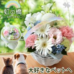  ybg   ybgɑ ԃAWg ԑ ̂܂܃u[P IׂűV[Yv pXe 䋟 