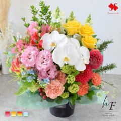 �t�����[�A�����W�����g �� ���� �A�����W �u �v���X�e�[�W �v �G�߂̂��܂��� �M�t�g  �傫�� ���� ��i ���� �t�����[�M�t�g �A�����W