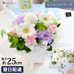 [�①��]�ł��͂� �������� ���������ԃA�����W�����g �V���V���V���[�Y �����Ȃ� �������� �A�����W ������ ������� ���蕨 ���� �@�� 