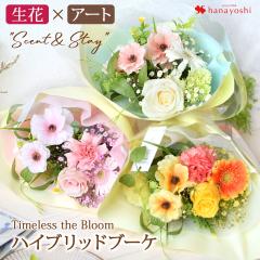 zB  ԑ a nCubhu[P  Scent & Stay v[g Mtg a       t[Mtg 