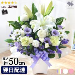  AWglTCY  AW  t[AW 蕨 @      zB 