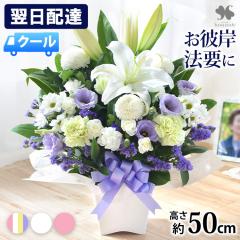 [�①��]�ł��͂� ���������� �A�����W�����g�l�T�C�Y �� �A�����W ������� �t�����[�A�����W ���蕨 �@�� ���� �������� �������� ����