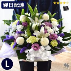 Ή ԃAWg kTCY    AW zB r    