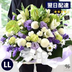 Ή    AWg `LLTCY     l\ @  r 