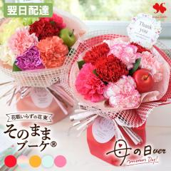 �� �M�t�g �������� ���̂܂܃u�[�P (R) �ԕr���炸�� �ԑ� �������� �v���[���g �a���� ���� �`�� �o�� �M�t�g �t�����[�M�t�g ���j�� 