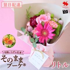 ԑ Mtg  ԕr炸̉ԑ ̂܂܃u[P (R) g ~j 摜zM ԑ Mtg j  a v[g   c