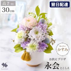 �����z�B ������ �� �v���U�[�h�t�����[ ���� �傫�� �͂�Ȃ� �������p�A�����W�����g �i�� �Ƃ����� ����ver ������ ������� ���� ��