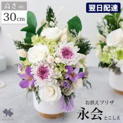�v���U�[�u�h�t�����[ ���� �i�� n2 �Ƃ����� ���d�p ������ �� ������� ���� ���蕨 �������� �@�� �������� ���ԃv���U�[�u�h�t�����[