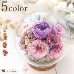 �v���U�[�u�h�t�����[ �K���X�h�[�� �o�u���h�[�� LUMIE -���~�G �I�ׂ�8�� �͂�Ȃ����� �o�� �a���� �v���[���g ���� ���F�B �M�t�g ��