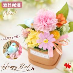 �����z�B �v���U�[�u�h�t�����[ �n�b�s�[�o�[�h �����f�B�[ �N���A�P�[�X���� �a���� �v���[���g �͂�Ȃ� �� ������� ���a���� ���� �u