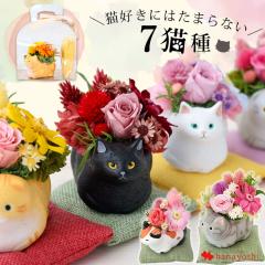 プリザーブドフラワー 和風 くつろぎねこ 5種類 猫 ネコ お祝い お花 還暦祝い 定年 花 誕生日 プレゼント 女性 母 猫好き ブリザードフ