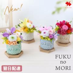 �����z�B �v���U�[�u�h�t�����[ FUKU NO MORI �`���̏W�������ȐX�` �A�����W�����g �a���� �� �v���[���g �M�t�g �͂�Ȃ� �ӂ��낤 �� 