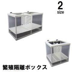 30cmキューブ水槽セット アクアリウム用品シンプル3点（水槽