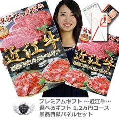 �ߍ]�� �i�i�ژ^�p�l���Z�b�g �I�ׂ�M�t�g1.2���~�R�[�X 1501k-e02 �yIR�z