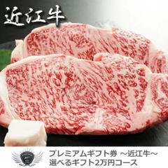 �ߍ]���M�t�g�Z�b�g �I�ׂ�M�t�g2���~�R�[�X 1501o-e05gb �yIR�z