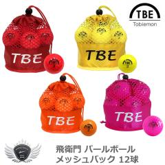 ��q�� �p�[���{�[�� ���b�V���o�b�N 12�� �yIR�z