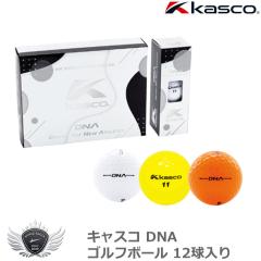 �L���X�R DNA �S���t�{�[�� 12������ �yIR�z