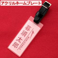 �C�[�O���l�[���v���[�g 100�~40 3mm ��