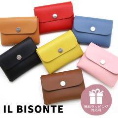 �C���r�]���e �J�[�h�P�[�X IL BISONTE ���h���� �J�[�h���� �p�X�P�[�X �{�v ���U�[ ���v ���f�B�[�X �����Y �u���b�N �u���[ �i�`����