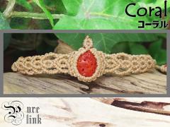 �󏭁��Ɋy��y�����鎵��E���Y�w�Ԗ{�X��E�R�[�����x�}�N�����҂݃u���X���b�g2