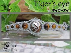 ���F�̐_��w�^�C�K�[�A�C�x�ܒ܋◴�}�N�����҂݃u���X���b�g