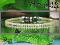 �M���Ǝ��M��\�����΁w�C�G���[�A�p�^�C�g�x�P���J�b�g�ɍ׃u���X���b�g