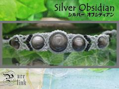 ��F�̋P���j�ׂ̖��΁w�V���o�[�I�u�V�f�B�A���x�}�N�����҃u���X���b�g7