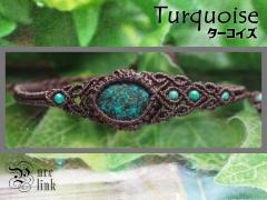 ��ƊC�̎��΁w�^�[�R�C�Y�x�}�N�����u���X���b�g�s�V�R�΃A�N�Z�T���[�t