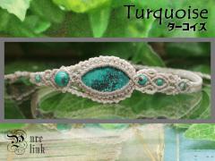 ��Ɨ��l����鐹�΁w�^�[�R�C�Y�i�g���R�΁j�x�}�N�����҂݃u���X���b�g