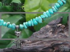 �S���Ȃ����Ȃ�΁w�^�[�R�C�Y�iTurquoise�j�x�l�R�V���o�[�l�b�N���X