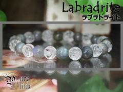 �����ȁ����Ƒ��z���ے�����w���u���h���C�g�x���K�N����w�����x�u���X���b�g