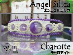 �V�g�̐����w�G���W�F���V���J/�`�����A�C�g�x�}�N�����҂݃u���X���b�g5