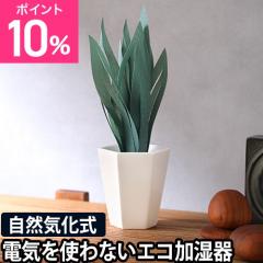 �~�N�j �G�R ������ �~�X�e�B�v�����c �T���X�x���A �y�[�p�[������ ��� �f�X�N ���^ ������ �������ȒP �y�b�g�{�g�� ���킢�� ����