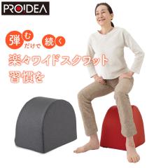 �h���[�� �v���C�f�A �G�N�T�T�C�Y�N�b�V���� ���C�h�X�N���b�g�z�b�p�[ D-0070-4139-01 �O���[ �^���N�b�V���� �G�N�T�T�C�Y ���� ���K 
