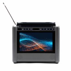 【送料無料】ダイニチ電子 10インチテレビ搭載ポータブル電源 パワーステーションTV PSTV-600