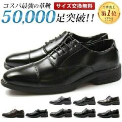 rWlXV[Y vC Y L CY 3E y y Ȃ  ubN uE Xg[g`bv rbg [t@[ v[