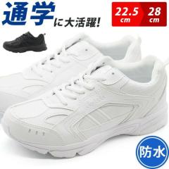 �X�j�[�J�[ ���[�J�b�g ���f�B�[�X �����Y �� �z���C�g �� �u���b�N �j�����p ���j�Z�b�N�X �h�� �C �傫���T�C�Y ���L ���C�Y 3E �y�� 