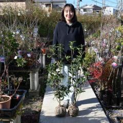 2025�N9������10���J�ԗ\��c�y��؍҂Ƌ��؍ҐQ���c2�{�Z�b�g�z�Ɓ@�H�ɊJ�ԁ@�I�����W�@�����Â��������@���؍ҁ@�O�十�؁@�j�Ԓ�