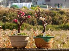 ~~ y~́z@gZbg~~́@ d@2025N23ɊJ