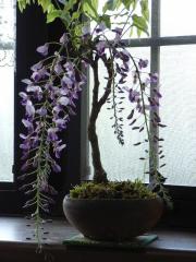 JԂ4~   av[g c~͐My   ߓ~