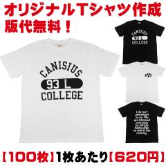 �y�ő㖳���z1��������620�~�y100���v���� �z�y�V���N�X�N���[��  �v�����gT�V���c�쐬�z�y�{�f�B�さ�v�����g�㍞�݁z�v�����g�̃J���[