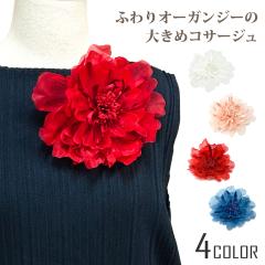 ���[���֑��������I�[�K���W�[�̑傫�߃R�T�[�W�� �z�� �ӂ��� ��� ��16cm �_�炩�ȃ��b�V�� ���̊� ���� BIG ������ �t�H�[�}�� �؂�