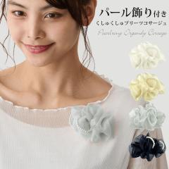 �R�T�[�W�� ���Ǝ� ������ ������ɂ��Ȃ� �I�[�K���W�[ ������ �p�[������ ���� ��i �����キ���� �u���[�` ��10cm ����Ɣ��Ȃ� 1