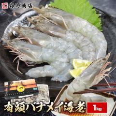 �o�i���C�C�V �L�� 1kg ���H�� ���� �Ⓚ �_���V���O�V�������v �G�N�A�h�� �h�g BBQ ���� �G�r �C�V