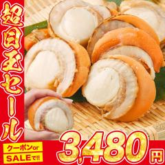 �{�����[�����_!!����QL�T�C�Y�{�C������ NET800g �ق��� �o�^�[�Ă� BBQ �o�[�x�L���[�� ���Y �H�i �O���� �C�N �v���[���g  �M�t�g �v