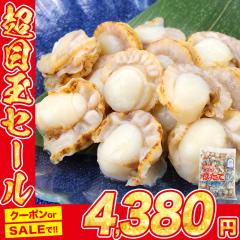�{�C�� �x�r�[�z�^�e 1kg �����p�Y �X�� 2S�`S�T�C�Y ���� �ق��� �x�r�[ 䥂� �X�`�[�� �L �Ⓚ �ނp