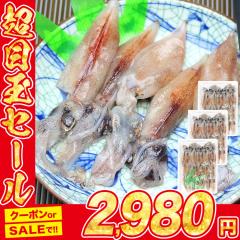 ���z�^���C�J ���H�p60���i20x3�p�b�N) �Ⓚ�� �ق��邢�� �u�G�� ���� �h�g �v���[���g �H�i �O���� �C�N  �M�t�g �v���[���g