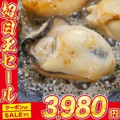 ����L�����y��1kg NET850g L�`2L �J�L ���� ���y �J�L�t���C �� �Ɩ��p �Ⓚ�� ���Y �H�i �O���� �C�N �v���[���g  �M�t�g �v���[���g 